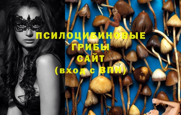 Альфа ПВП Армянск