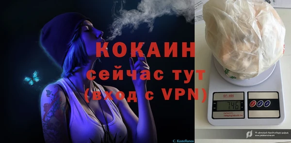 Альфа ПВП Армянск