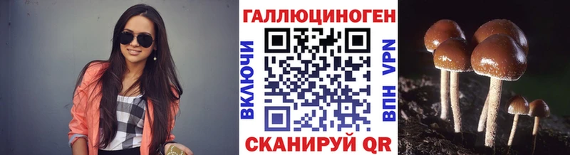 Галлюциногенные грибы Magic Shrooms  Купить  Новая Ладога 